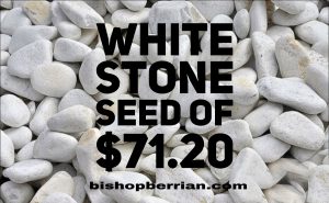 White Stone Seed of $71.20